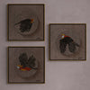Set of Three Bird Paintings. Acrylic on Canvas Paintings.
Art by Indian Artist Ramakrishna Vasanthula