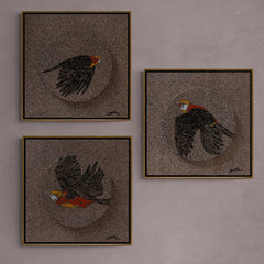 Birds: Set of Three