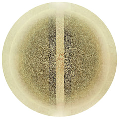 Enlightenment V (Circle of Life)