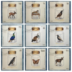 Nature's Lens : Set of Nine (Un-131)