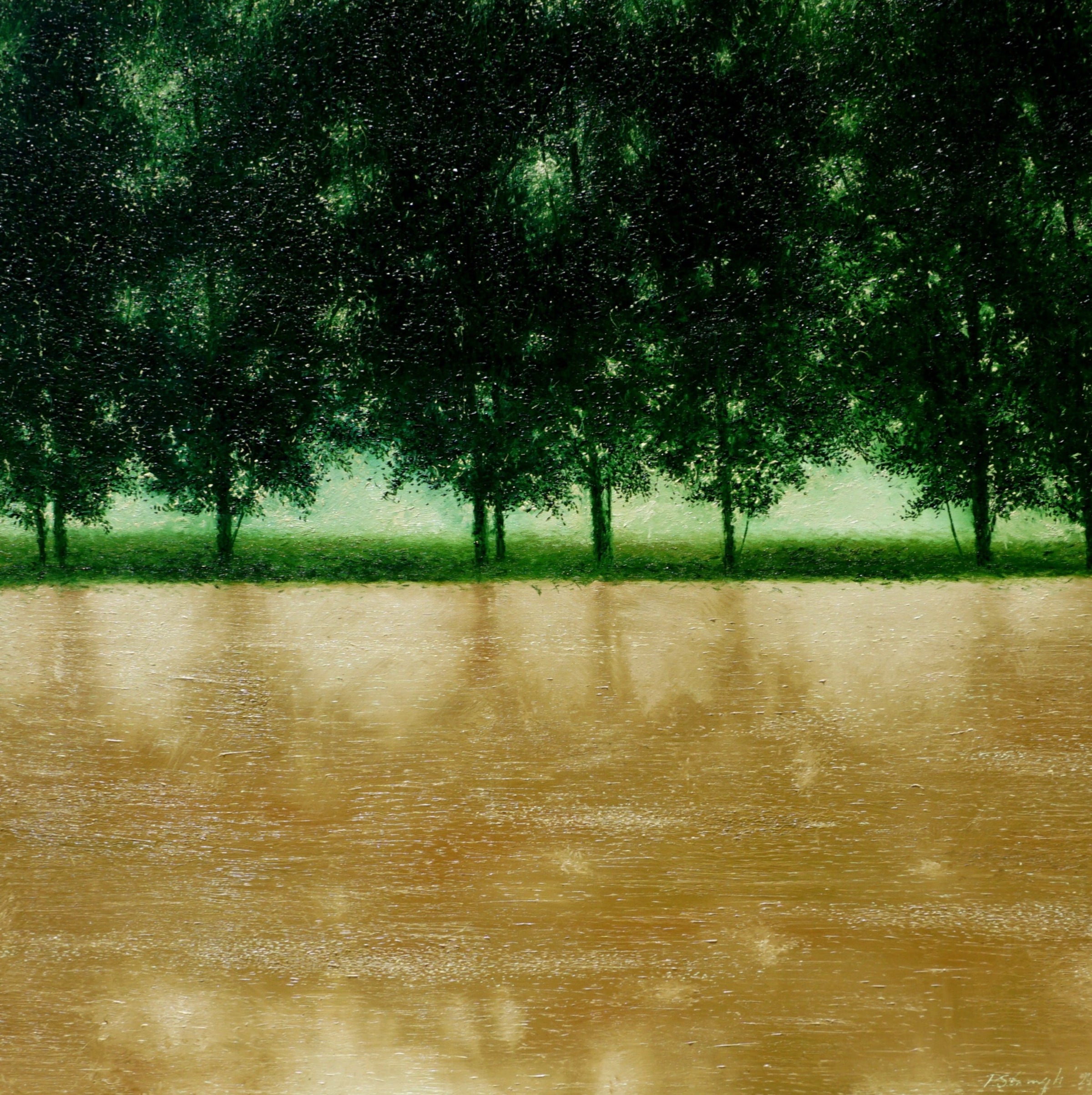 Wet Fields form a soothing landscape with trees lining the wet fields.