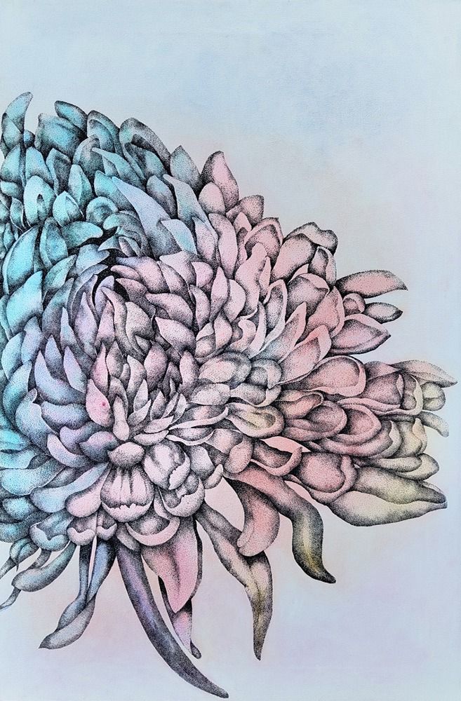 chrysanthemum Painted in sorbet shades by artist Ritu Kamath. Bueatiful Closr up capturing the fool blooms delicate petals.