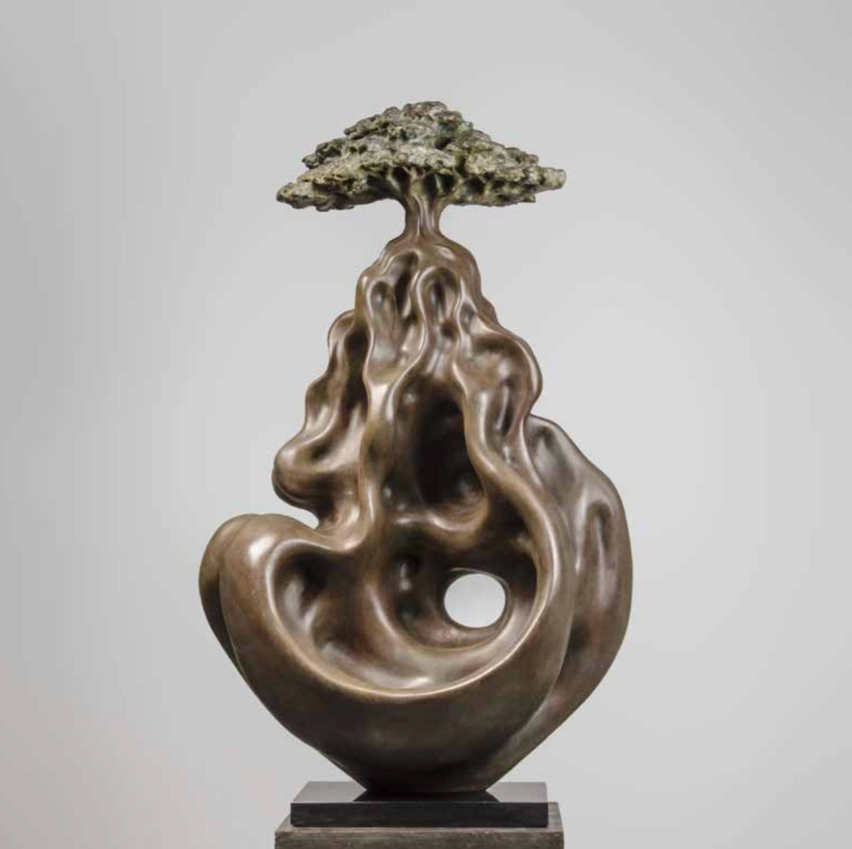 Unique Wisdom Tree sculpture by Divyendu Anand made using bronze skin over composite. 