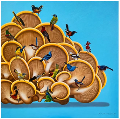 The Colorful Assembly